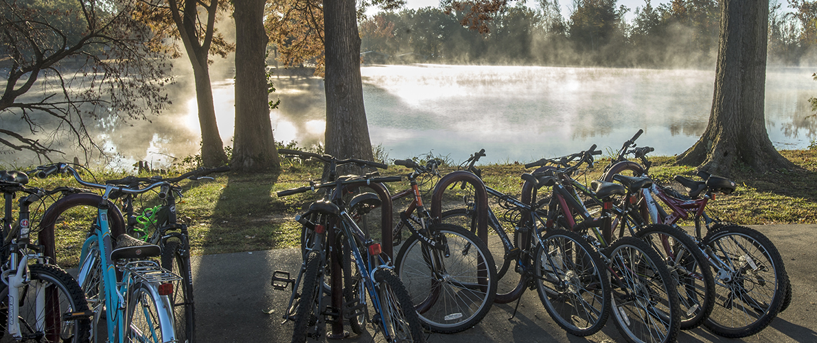 Bikes around campus lake